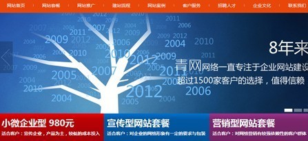 西宁软件开发公司--青网科技,是一家独立软件开发商和供应商_专业西安网站建设软件开发软件公司为您服务