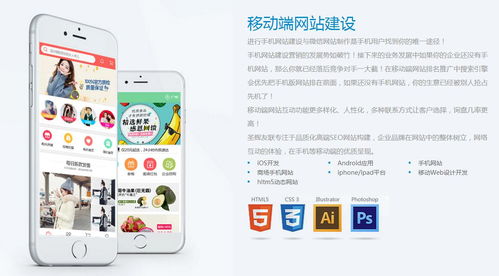 制作企业网站时对手机站了解多少 做手机网站有用吗